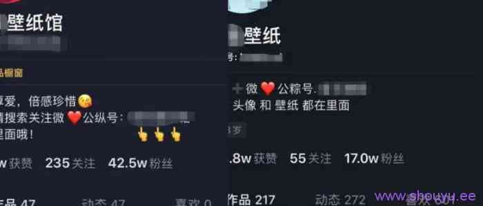 分享一个新手副业,零门槛的小众短视频赚钱项目