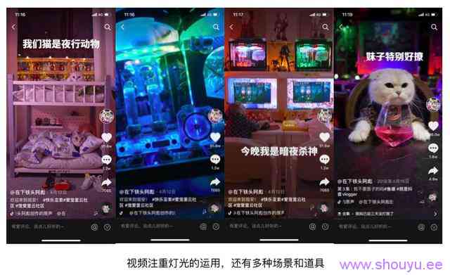 一个月涨粉246万!宠物类短视频如何快速吸引眼球?