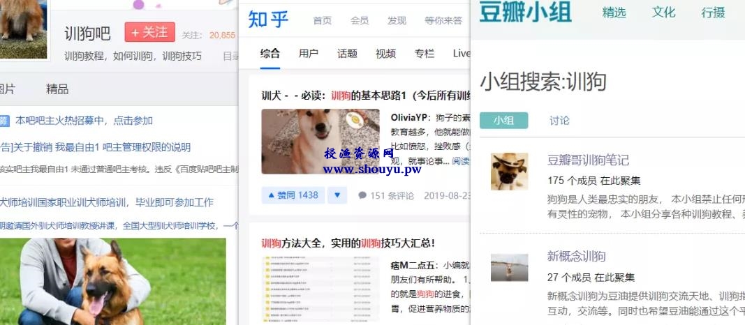 冷门蓝海赚钱项目,新手零基础创业术