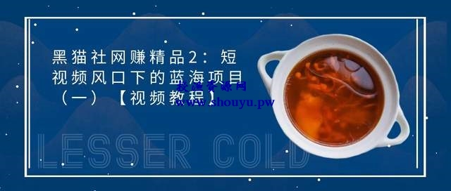 黑猫社网赚精品27:短视频风口下的蓝海项目(一)【视频教程】