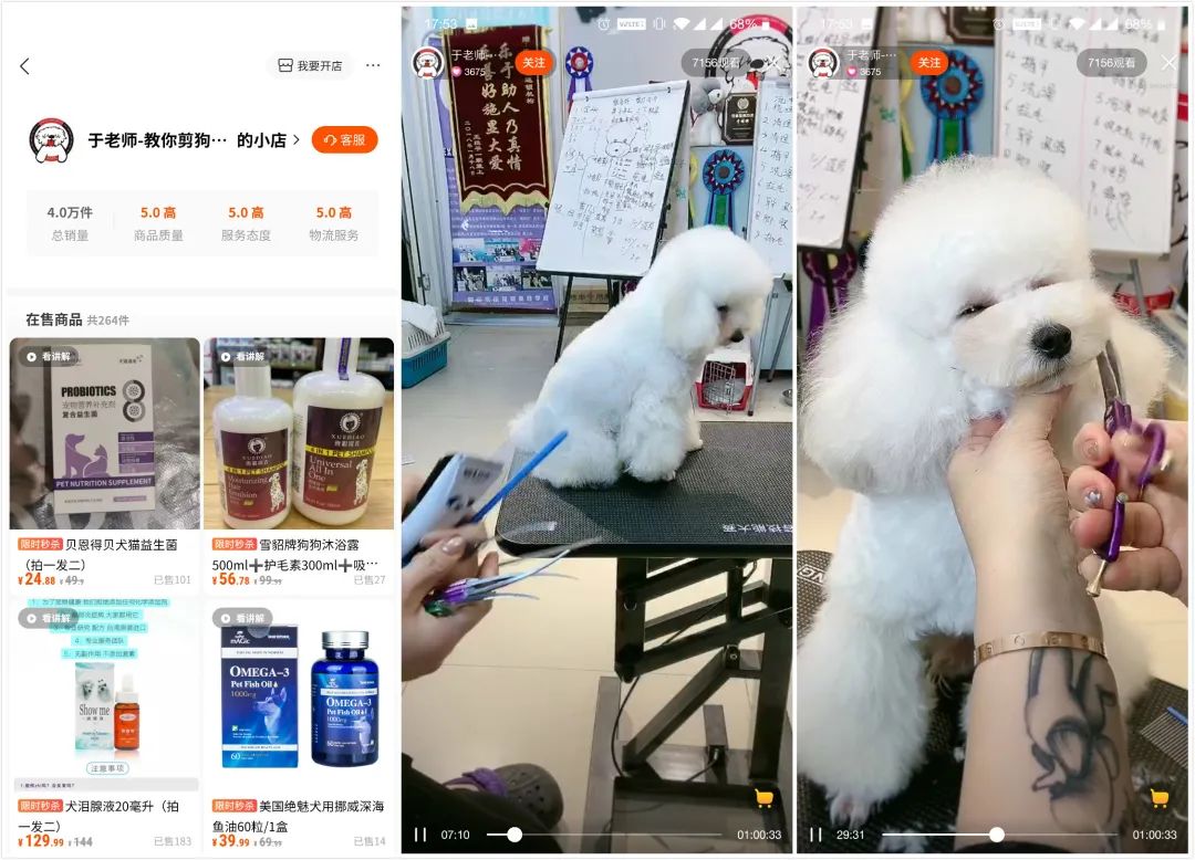 萌宠受众超5.3亿！快手宠物号究竟怎么玩？